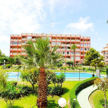 Best House Paola Torrevieja Eksteriør bilde